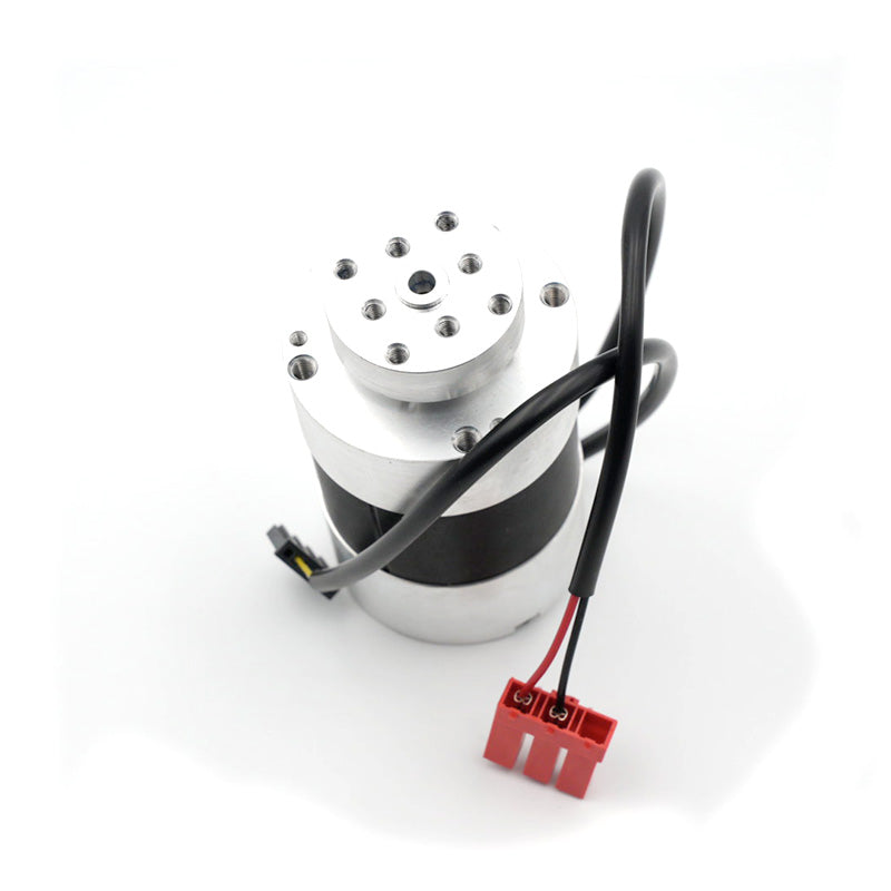 Ricambio - Motore lama Brushless con driver L.60 - F.lli Manzoni