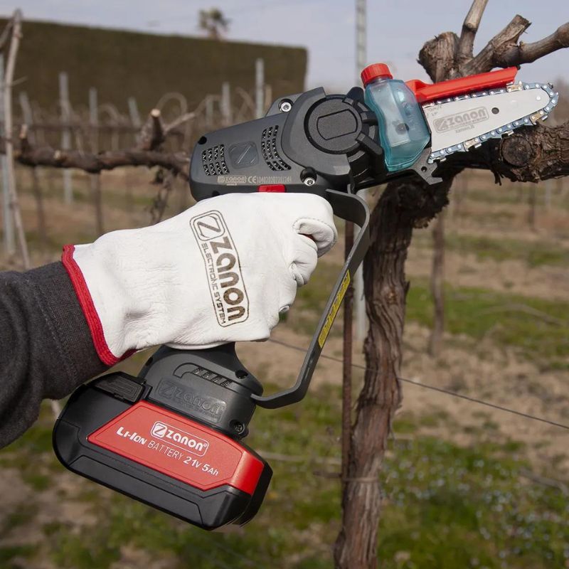 Zanon: ZP 100 Potatore elettronico a batteria - F.lli Manzoni