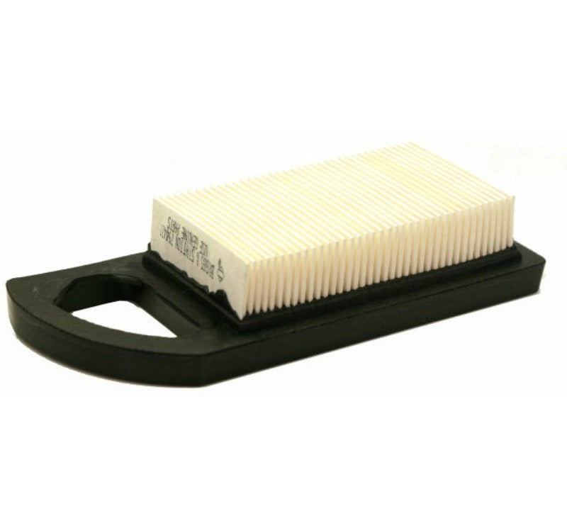 briggs & stratton filtro aria 698413