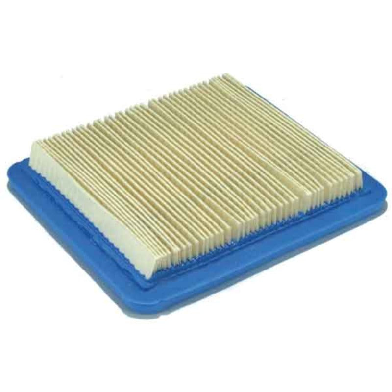 briggs & stratton filtro quantum 491588 sopra.jpg