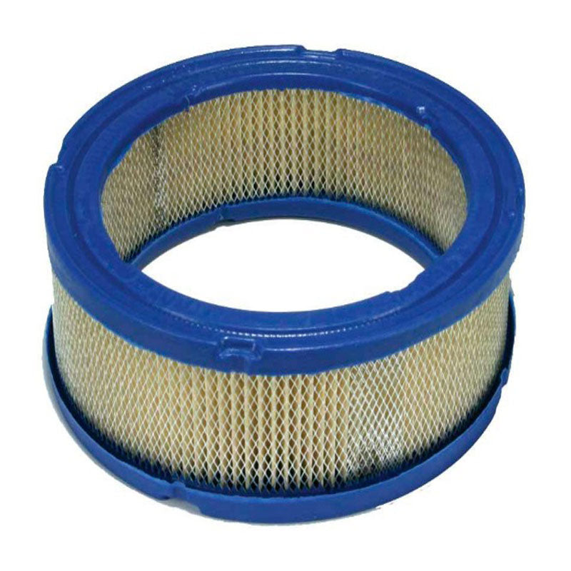 Filtro aria Briggs & Stratton 394018 - F.lli Manzoni