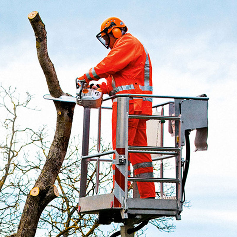 Stihl: Motosega da potatura MS 201 TC-M - F.lli Manzoni